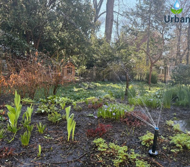 Irrigation System Servicing in Boston