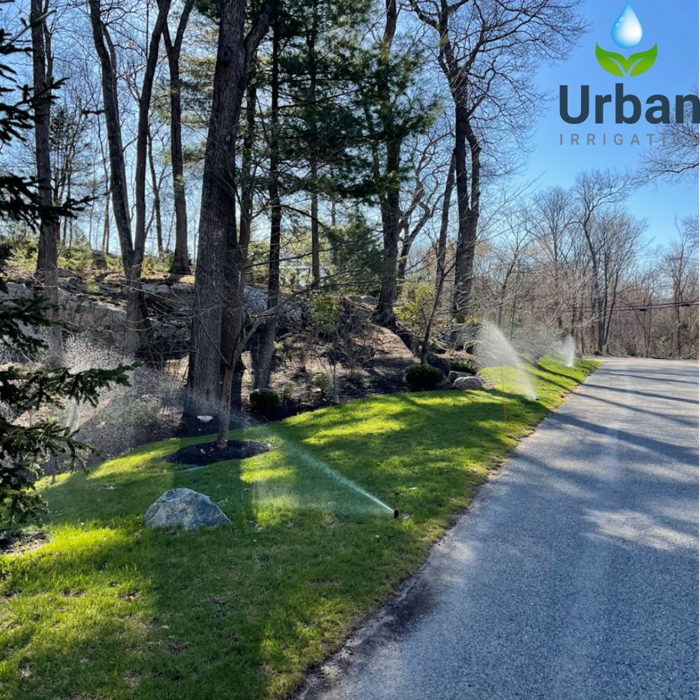 Irrigation for Spring Repair & Maintenance