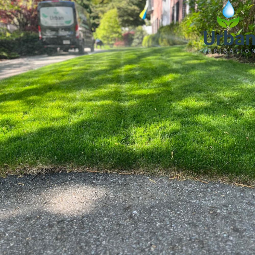 Landscape Lighting Installation Company