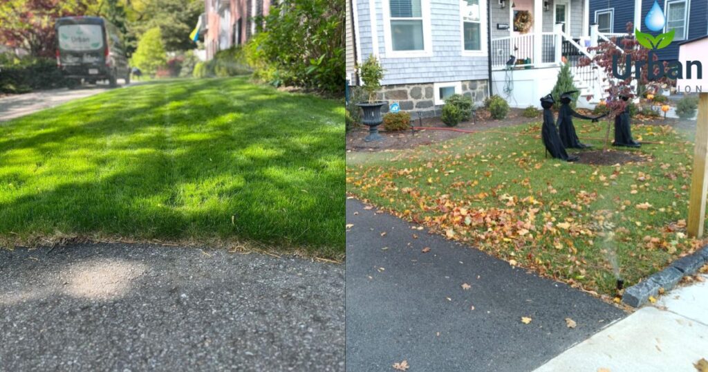 Residential vs Commercial Spring Lighting in Boston