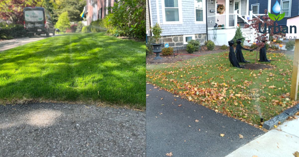 Residential vs Commercial Spring Lighting in Boston