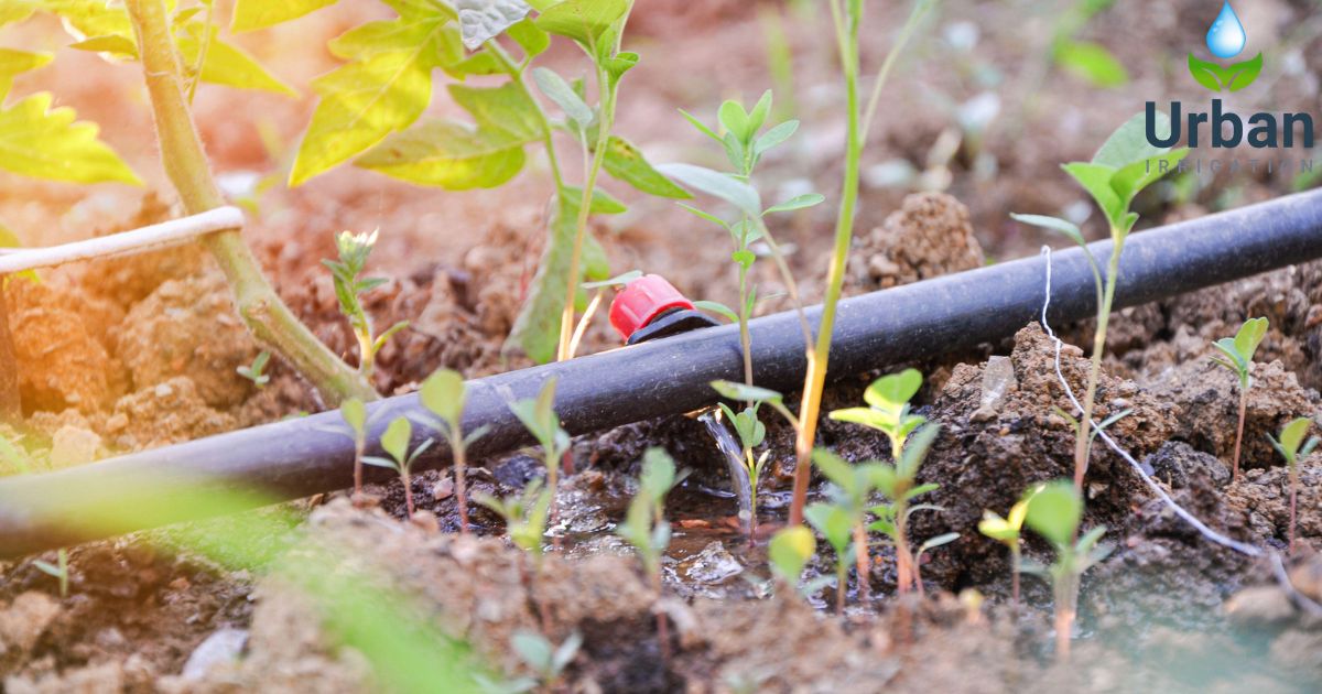 Types Of Irrigation Systems