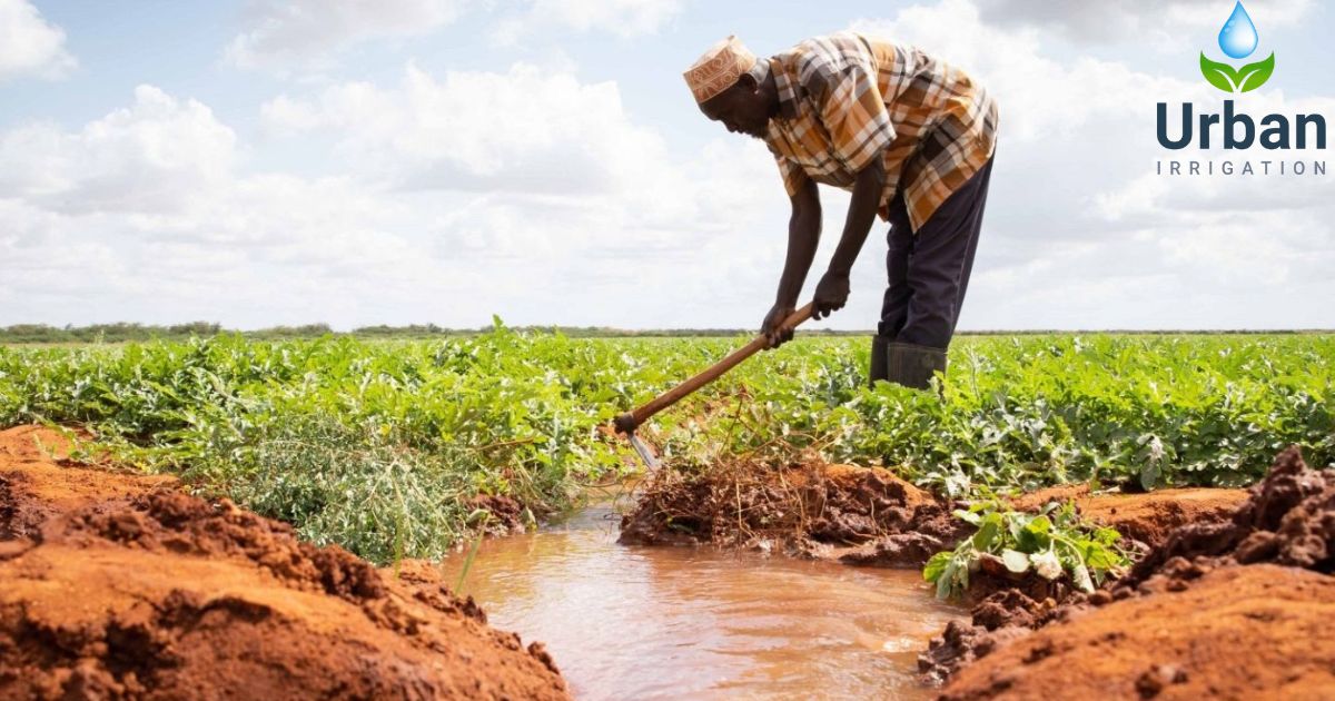 Greener Lawns And Healthier Plants