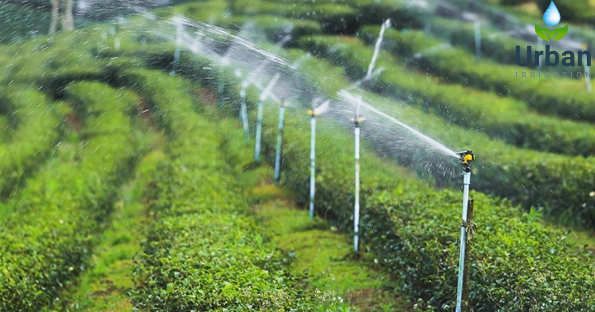 How Smart Irrigation Saves Water