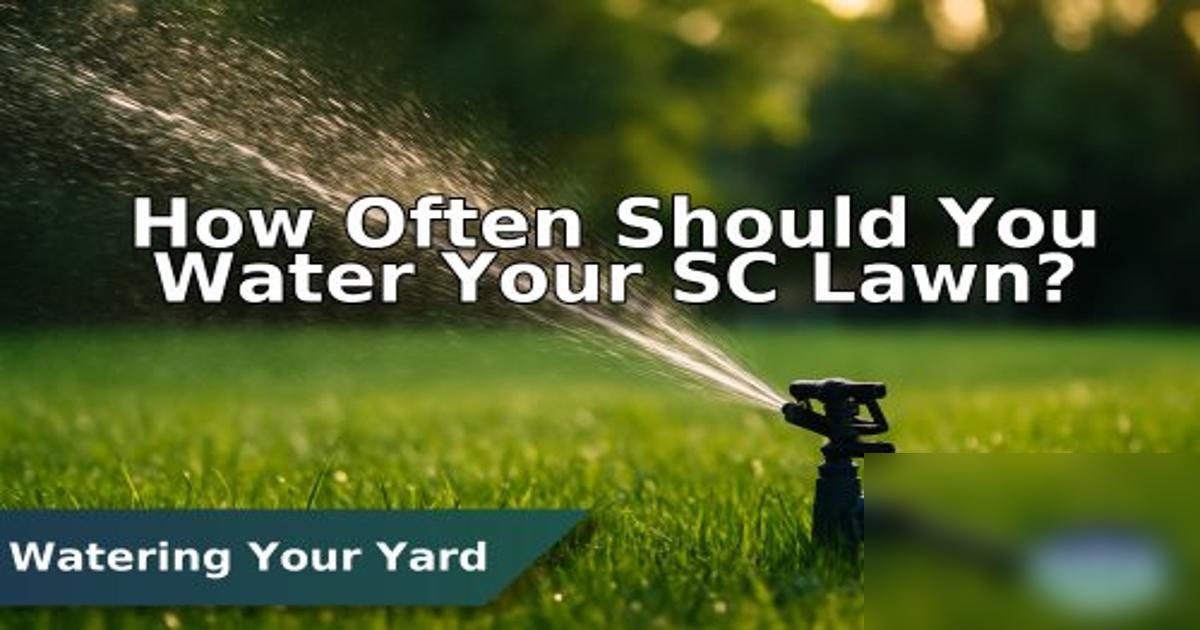 Water Your Lawn With a Sprinkler System