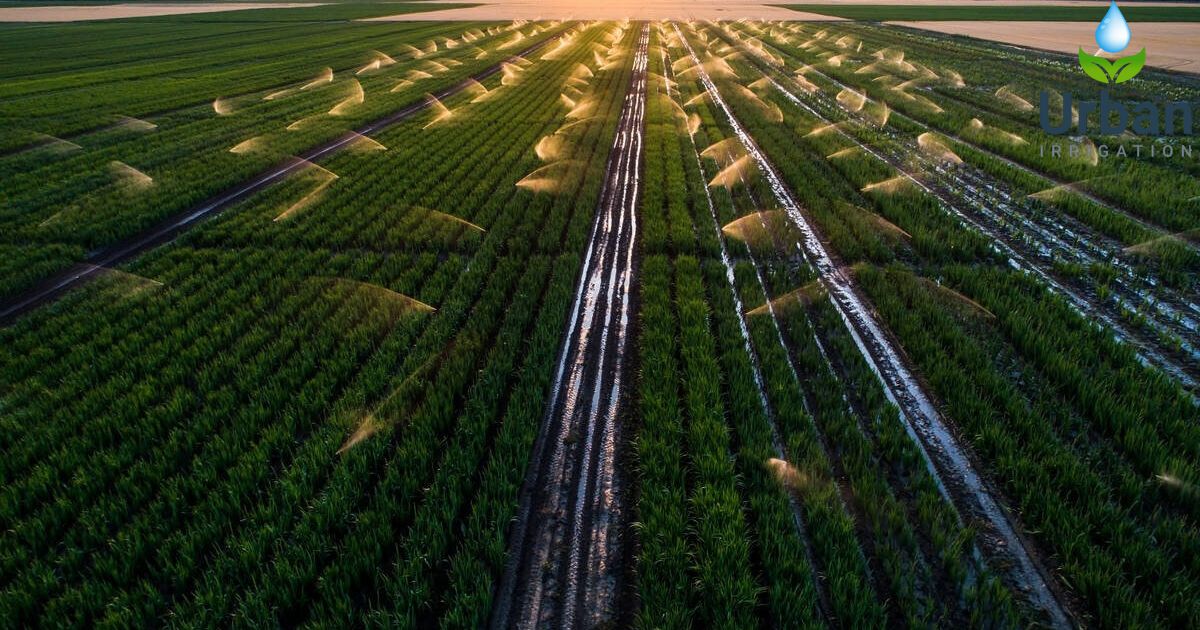 What are the Most Water-Efficient Irrigation Systems Available?