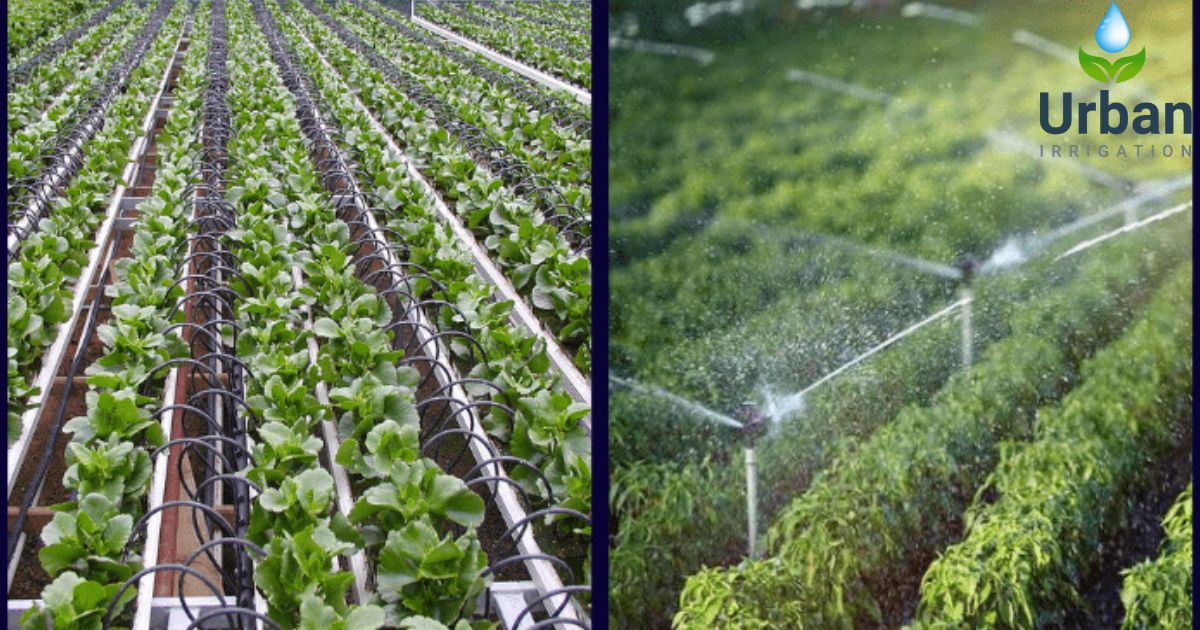 What is the Difference between Drip Irrigation vs Sprinkler Systems